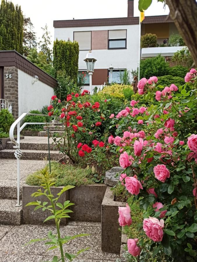 Apartments Gala, Ruhige Lage, Stadtnah Bad Kissingen Zewnętrze zdjęcie