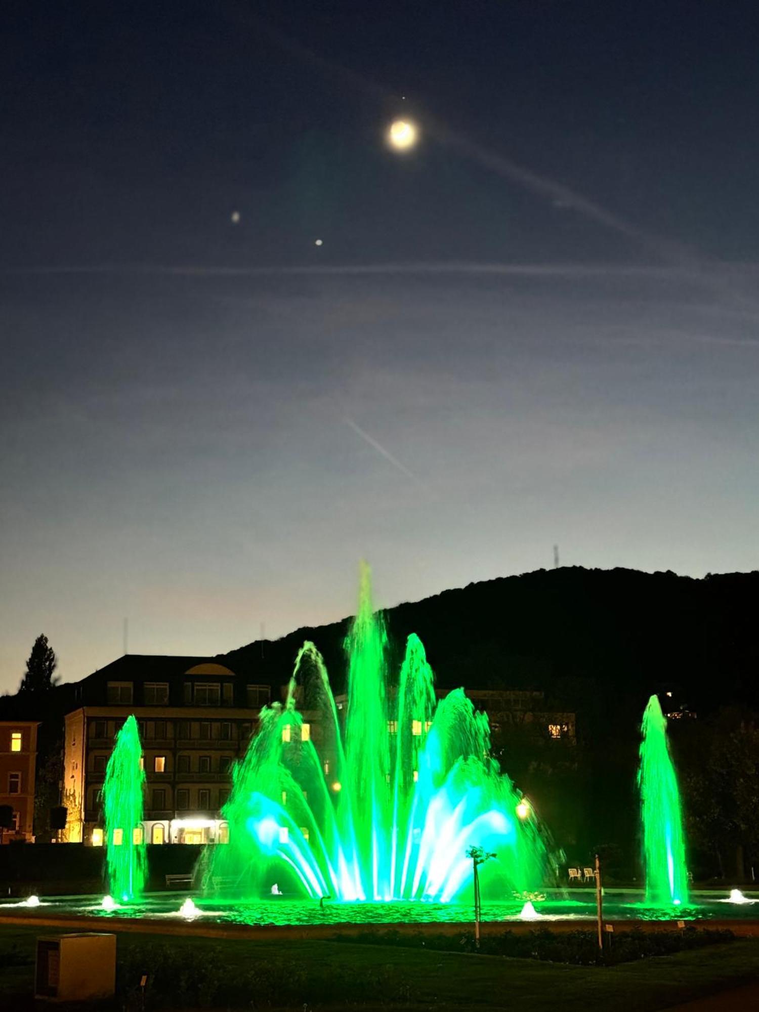 Apartments Gala, Ruhige Lage, Stadtnah Bad Kissingen Zewnętrze zdjęcie