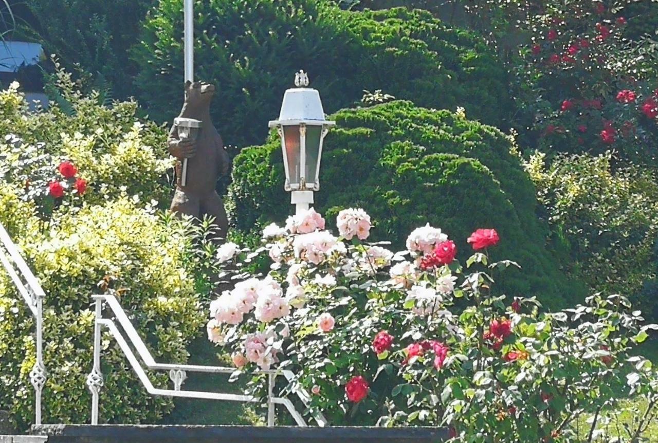 Apartments Gala, Ruhige Lage, Stadtnah Bad Kissingen Zewnętrze zdjęcie