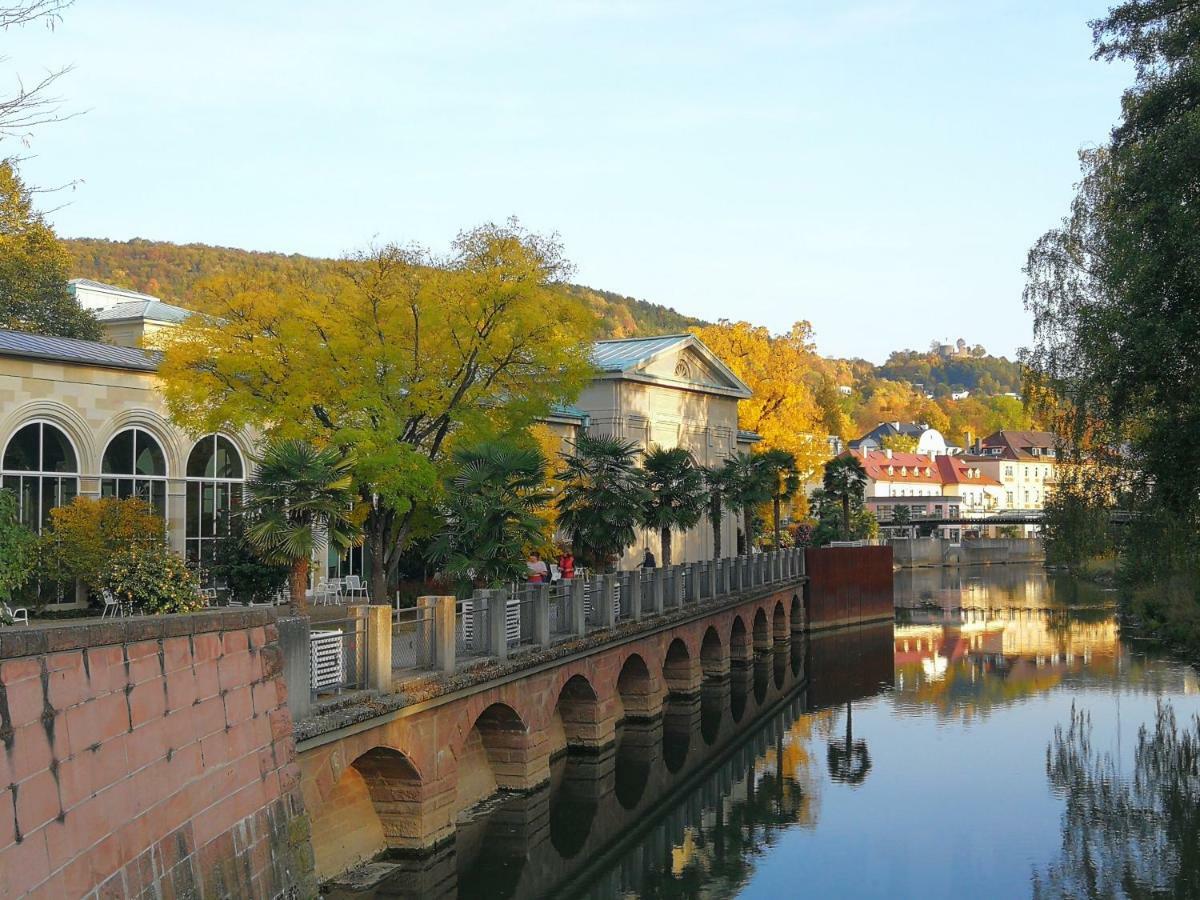 Apartments Gala, Ruhige Lage, Stadtnah Bad Kissingen Zewnętrze zdjęcie