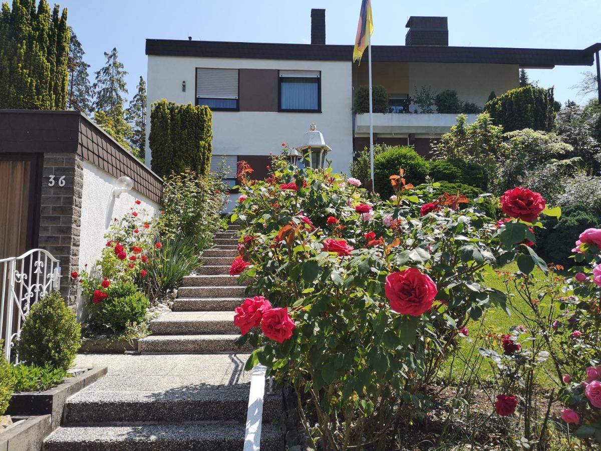 Apartments Gala, Ruhige Lage, Stadtnah Bad Kissingen Zewnętrze zdjęcie